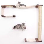 CatastrophiCreations Cat Mod Climb Track Handcrafted Wall Mounted Cat Tree review