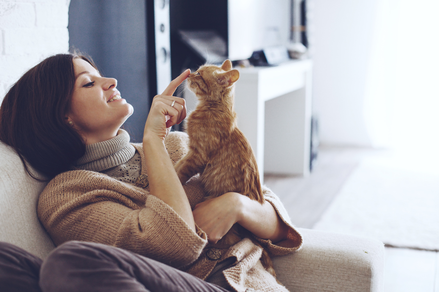 First Time Cat Owner Tips for a Happy Healthy Cat